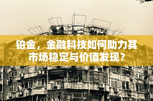 铂金，金融科技如何助力其市场稳定与价值发现？