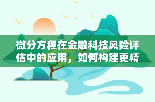 微分方程在金融科技风险评估中的应用，如何构建更精准的模型？