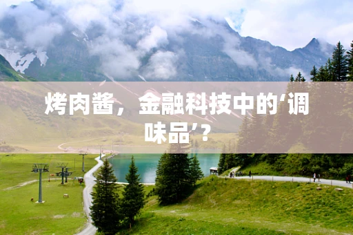 烤肉酱，金融科技中的‘调味品’？