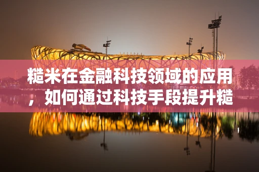 糙米在金融科技领域的应用，如何通过科技手段提升糙米供应链的透明度与效率？