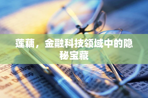莲藕，金融科技领域中的隐秘宝藏