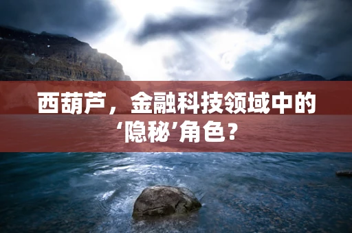 西葫芦，金融科技领域中的‘隐秘’角色？