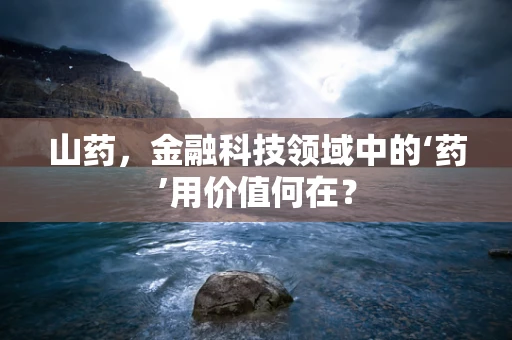 山药，金融科技领域中的‘药’用价值何在？