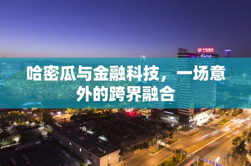 哈密瓜与金融科技，一场意外的跨界融合