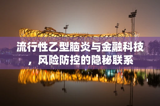 流行性乙型脑炎与金融科技，风险防控的隐秘联系