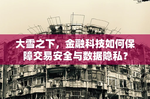 大雪之下，金融科技如何保障交易安全与数据隐私？