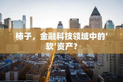 柿子，金融科技领域中的‘软’资产？