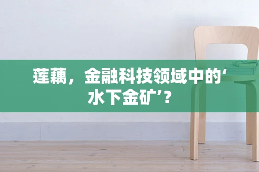 莲藕，金融科技领域中的‘水下金矿’？