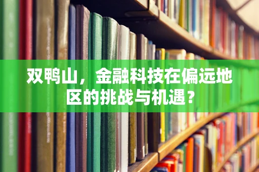 双鸭山，金融科技在偏远地区的挑战与机遇？