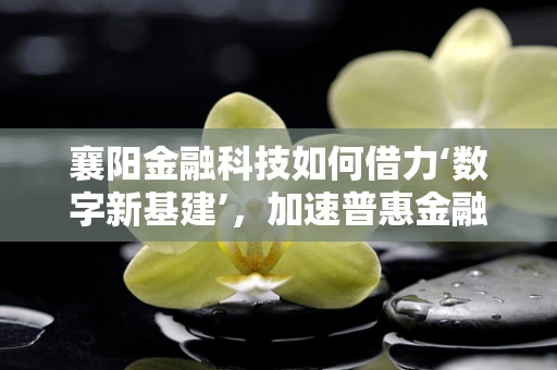 襄阳金融科技如何借力‘数字新基建’，加速普惠金融落地？