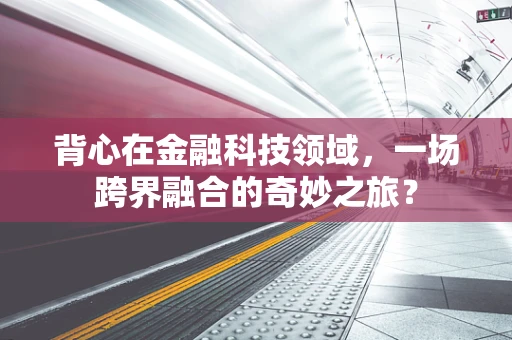 背心在金融科技领域，一场跨界融合的奇妙之旅？