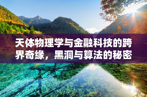 天体物理学与金融科技的跨界奇缘，黑洞与算法的秘密对话