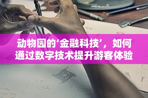 动物园的‘金融科技’，如何通过数字技术提升游客体验？