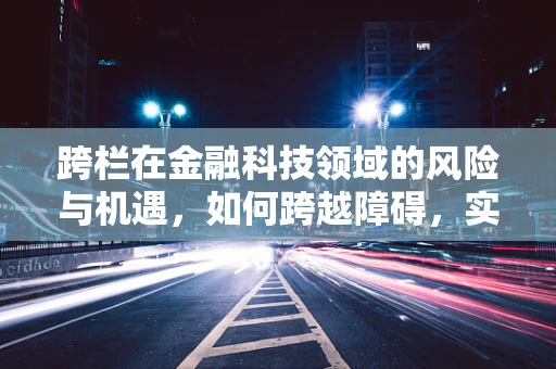 跨栏在金融科技领域的风险与机遇，如何跨越障碍，实现飞跃？