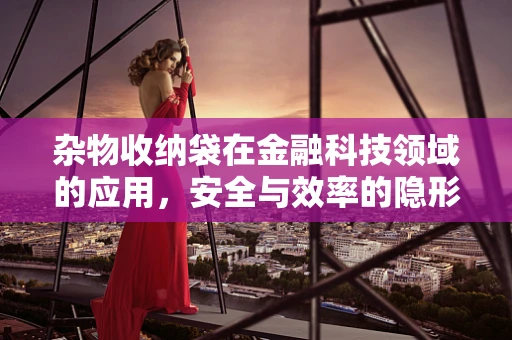 杂物收纳袋在金融科技领域的应用，安全与效率的隐形守护者？