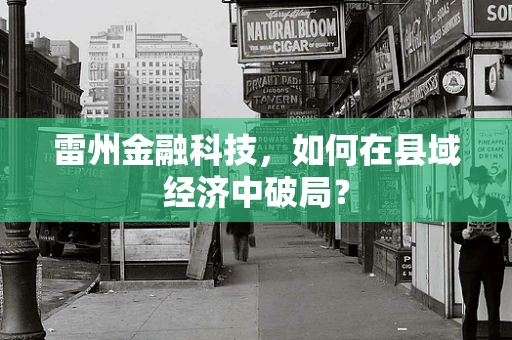 雷州金融科技，如何在县域经济中破局？