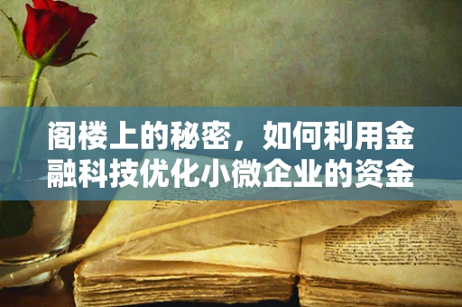 阁楼上的秘密，如何利用金融科技优化小微企业的资金管理？