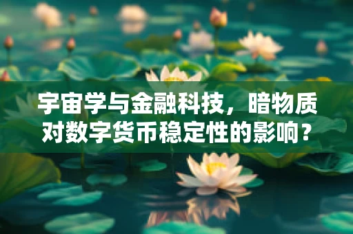 宇宙学与金融科技，暗物质对数字货币稳定性的影响？