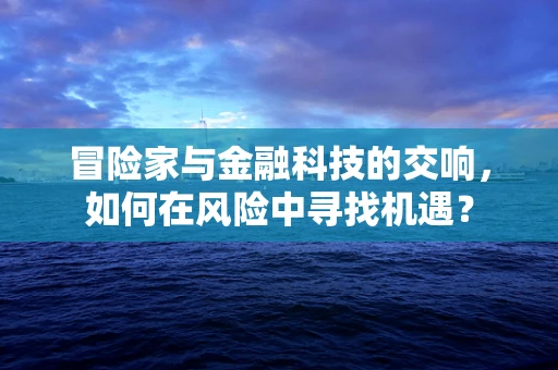 冒险家与金融科技的交响，如何在风险中寻找机遇？