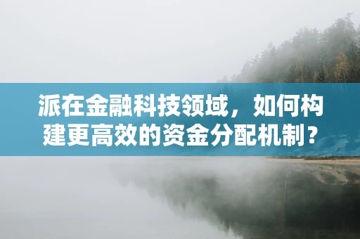 派在金融科技领域，如何构建更高效的资金分配机制？