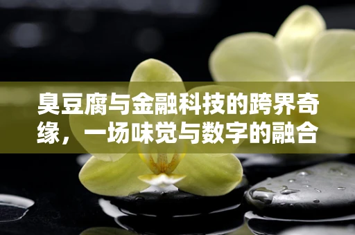 臭豆腐与金融科技的跨界奇缘，一场味觉与数字的融合探索