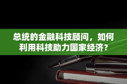 总统的金融科技顾问，如何利用科技助力国家经济？