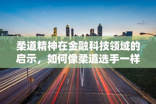 柔道精神在金融科技领域的启示，如何像柔道选手一样，在挑战中寻找平衡？
