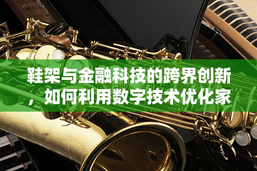 鞋架与金融科技的跨界创新，如何利用数字技术优化家庭财务管理？