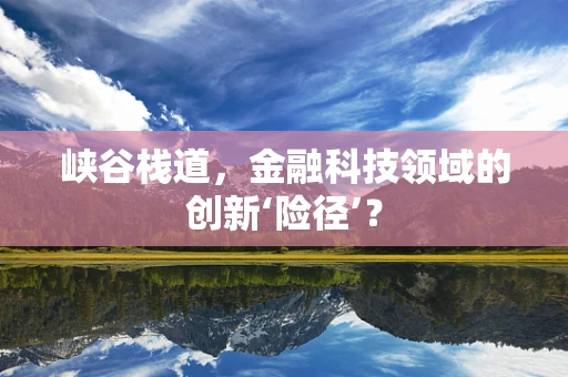 峡谷栈道，金融科技领域的创新‘险径’？
