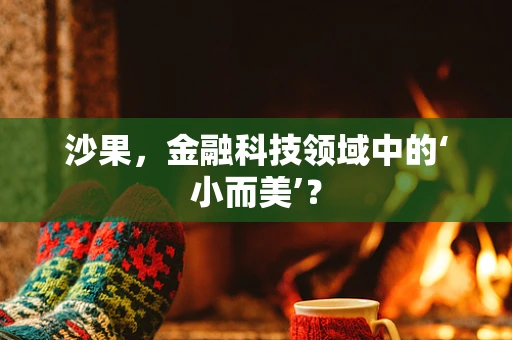 沙果，金融科技领域中的‘小而美’？