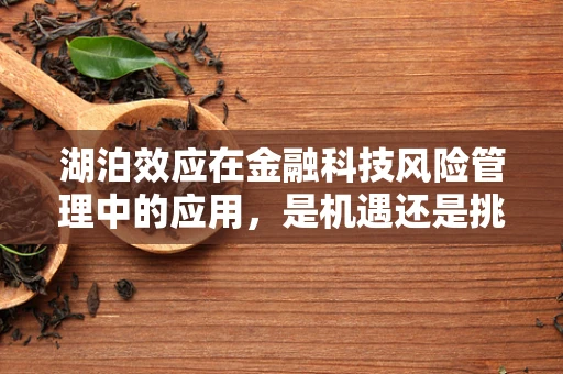 湖泊效应在金融科技风险管理中的应用，是机遇还是挑战？