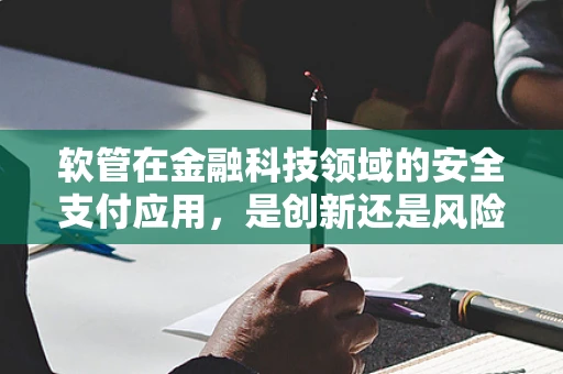 软管在金融科技领域的安全支付应用，是创新还是风险？