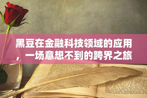 黑豆在金融科技领域的应用，一场意想不到的跨界之旅