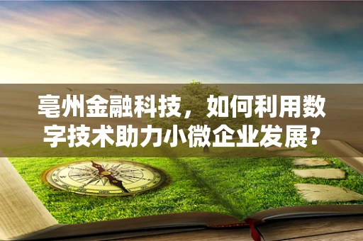 亳州金融科技，如何利用数字技术助力小微企业发展？
