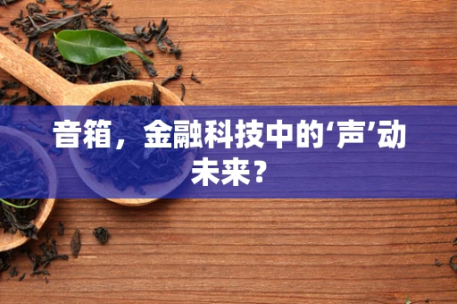 音箱，金融科技中的‘声’动未来？