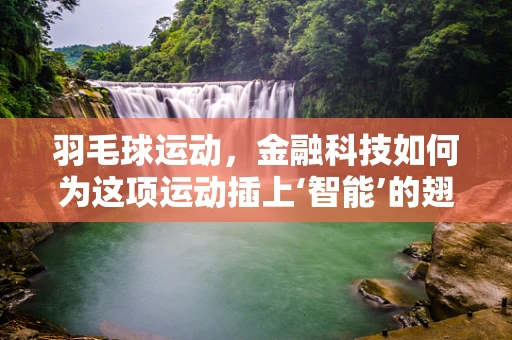 羽毛球运动，金融科技如何为这项运动插上‘智能’的翅膀？