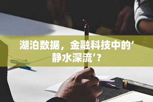 湖泊数据，金融科技中的‘静水深流’？