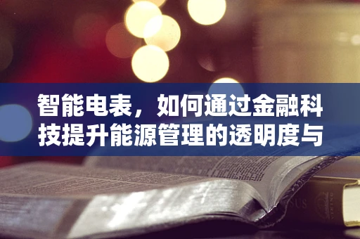 智能电表，如何通过金融科技提升能源管理的透明度与效率？