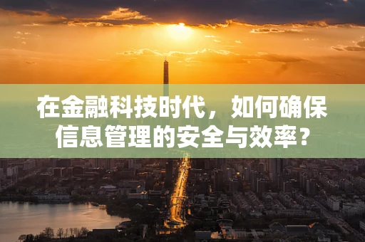 在金融科技时代，如何确保信息管理的安全与效率？