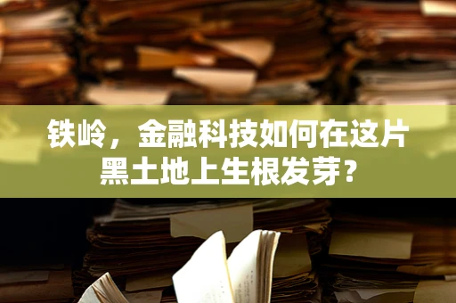 铁岭，金融科技如何在这片黑土地上生根发芽？