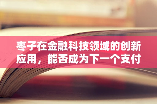 枣子在金融科技领域的创新应用，能否成为下一个支付甜点？
