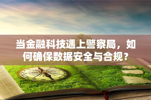 当金融科技遇上警察局，如何确保数据安全与合规？