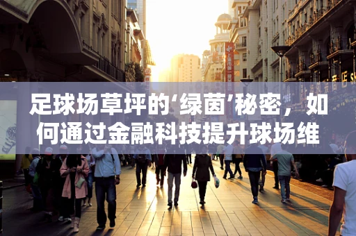 足球场草坪的‘绿茵’秘密，如何通过金融科技提升球场维护效率？