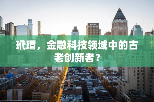 玳瑁，金融科技领域中的古老创新者？