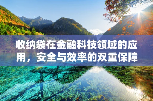 收纳袋在金融科技领域的应用，安全与效率的双重保障？