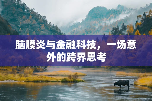 脑膜炎与金融科技，一场意外的跨界思考