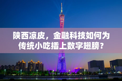 陕西凉皮，金融科技如何为传统小吃插上数字翅膀？