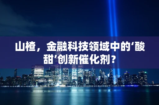 山楂，金融科技领域中的‘酸甜’创新催化剂？