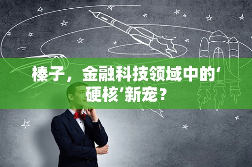 榛子，金融科技领域中的‘硬核’新宠？