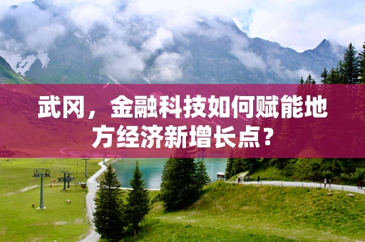 武冈，金融科技如何赋能地方经济新增长点？